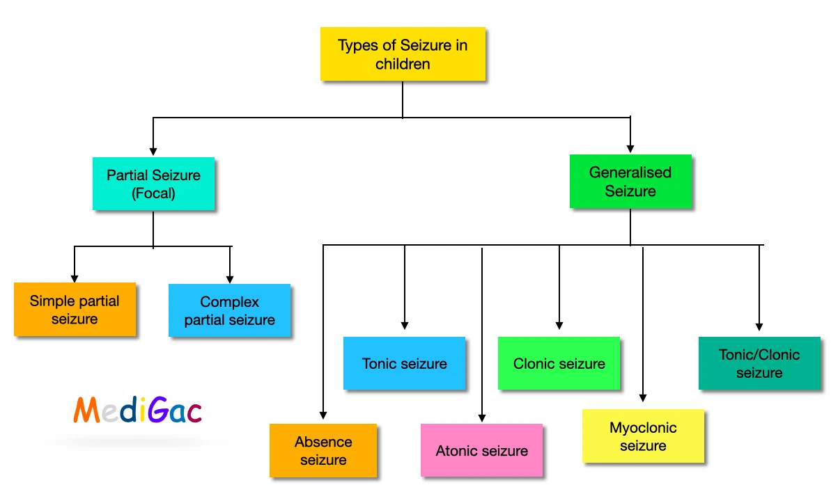 Seizure/Epilepsy/Convulsion types